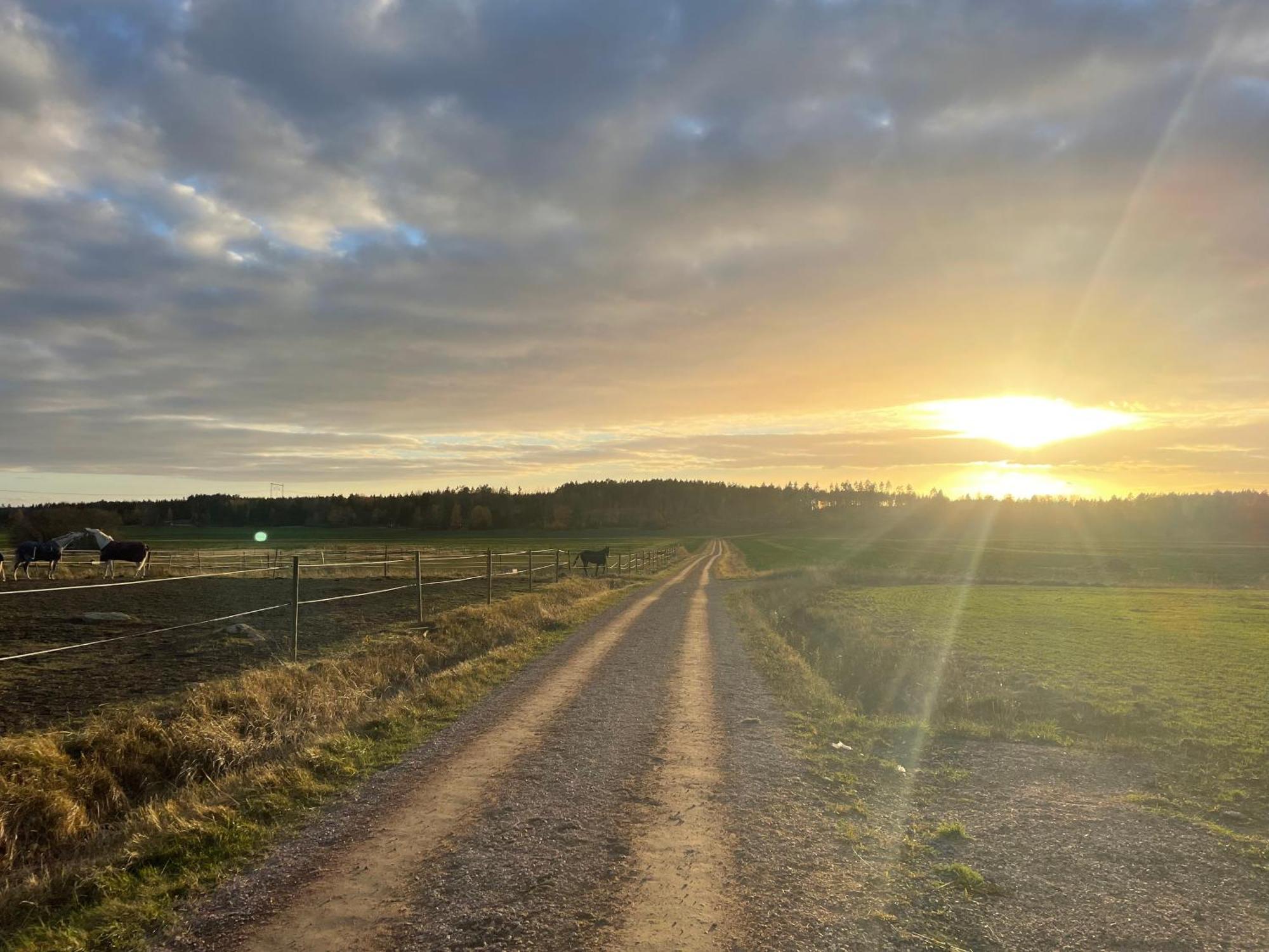 Baersta Bagarstugan Bnb Kolbäck Exteriér fotografie
